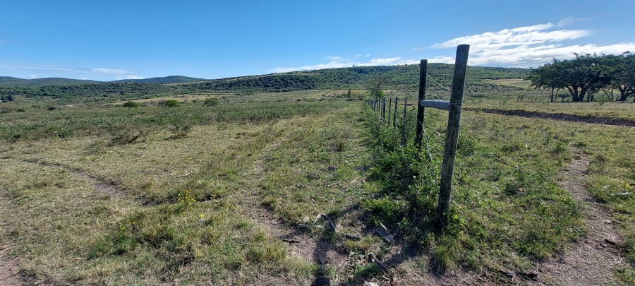 3 Bedroom Property for Sale in Komga Rural Eastern Cape